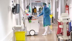 El microbioma intestinal pot afavorir l’aparició de la covid persistent