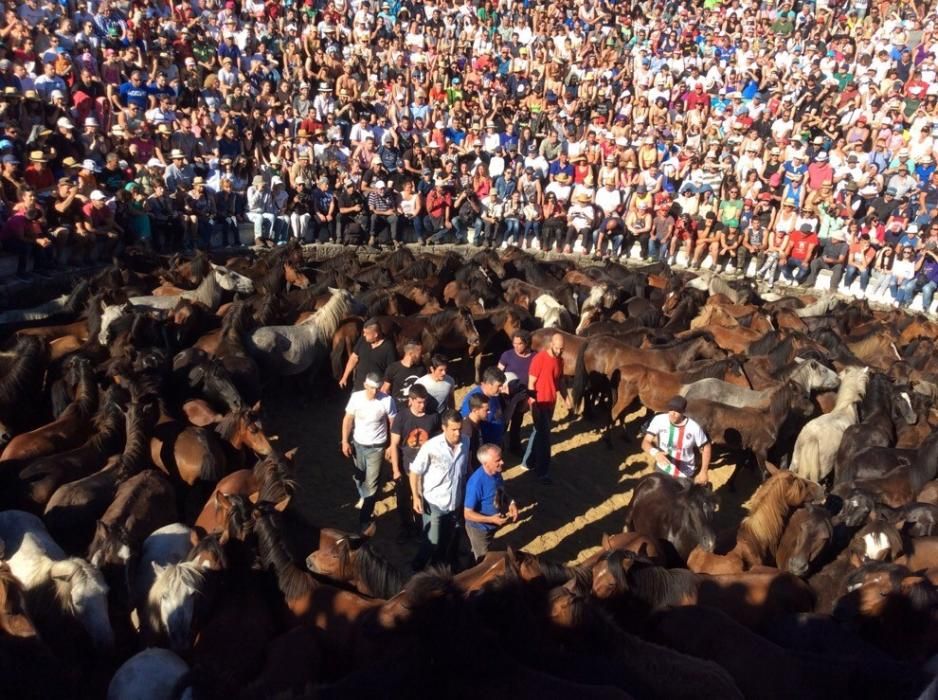 Más de quince "aloitadores" raparon a cerca de 200 caballos en el primer curro de Sabucedo