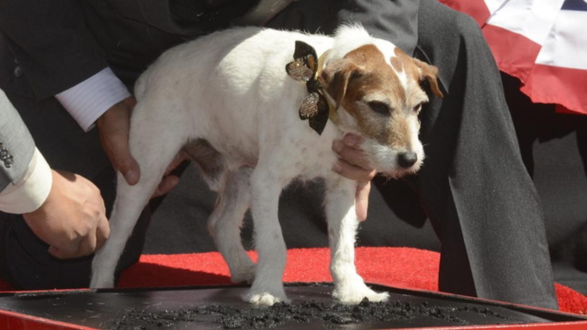 El perro de 'The Artist' deja su huella en Hollywood