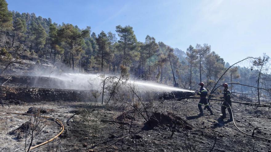 Los Bomberos Forestales de la Generalitat realizan 5.437 intervenciones hasta el mes de agosto