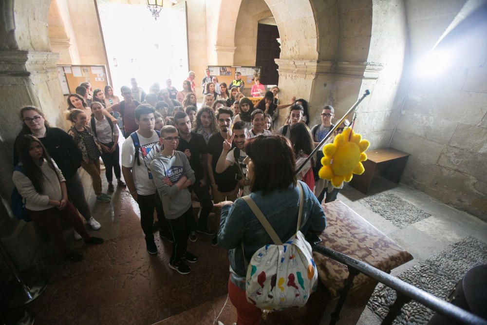 Pleno de presupuestos de Alicante