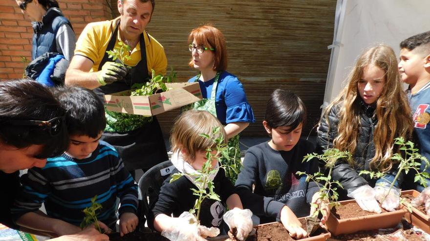 Calaf celebra la tercera edició de l&#039;Ecofira