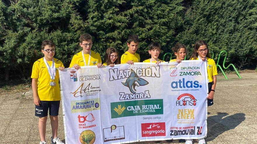 Ocho medallas para el Natación Zamora en eI Campeonato Benjamín de Verano de Castilla y León