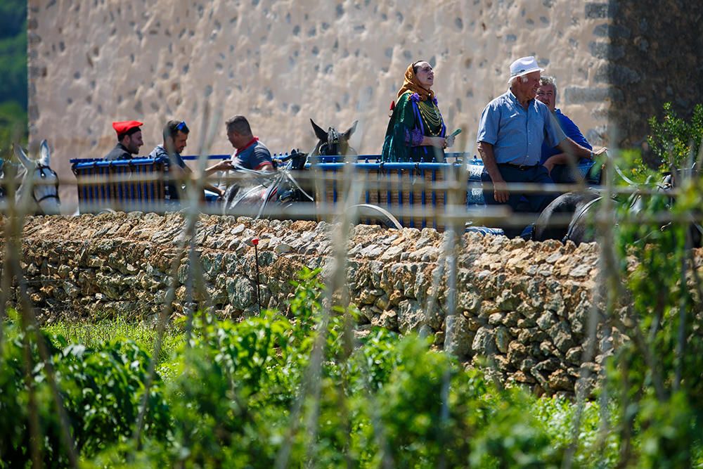 Fiestas de Sant Mateu