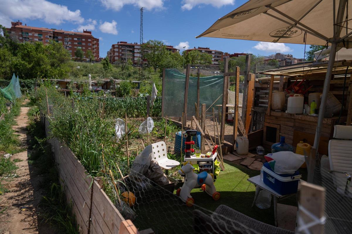 Algunas personas sin alternativa habitacional vivían entre los huertos de Can Cervera, en Esplugues