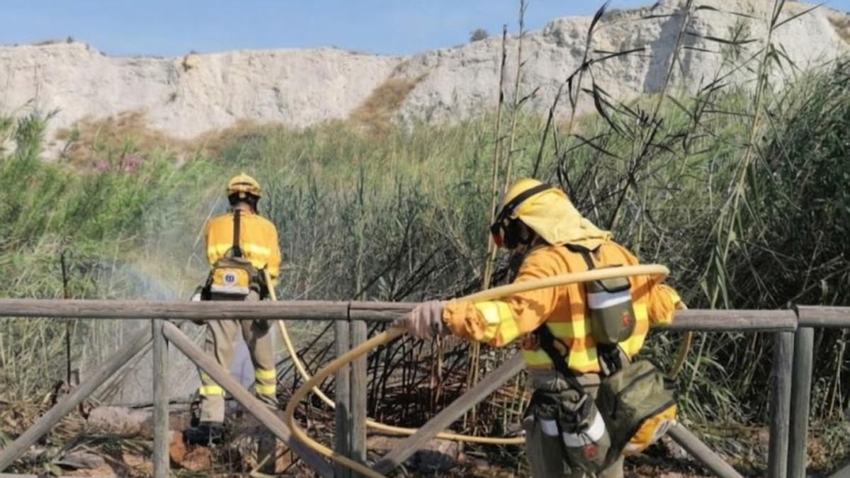 El incendio ha afectado a 900 metros cuadrados de caña