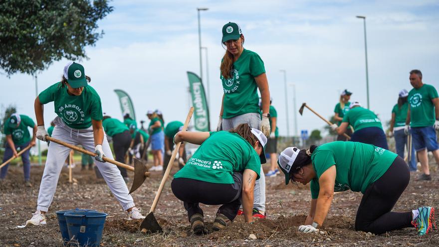 Tropical pone el broche a la celebración de su centenario con una acción medioambiental en Las Palmas de Gran Canaria
