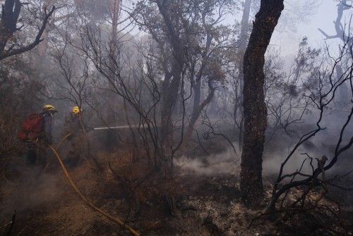 Incendi forestal a peu de les Gavarres