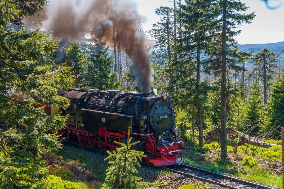Tren de vapor por la alta selva negra, Alemania