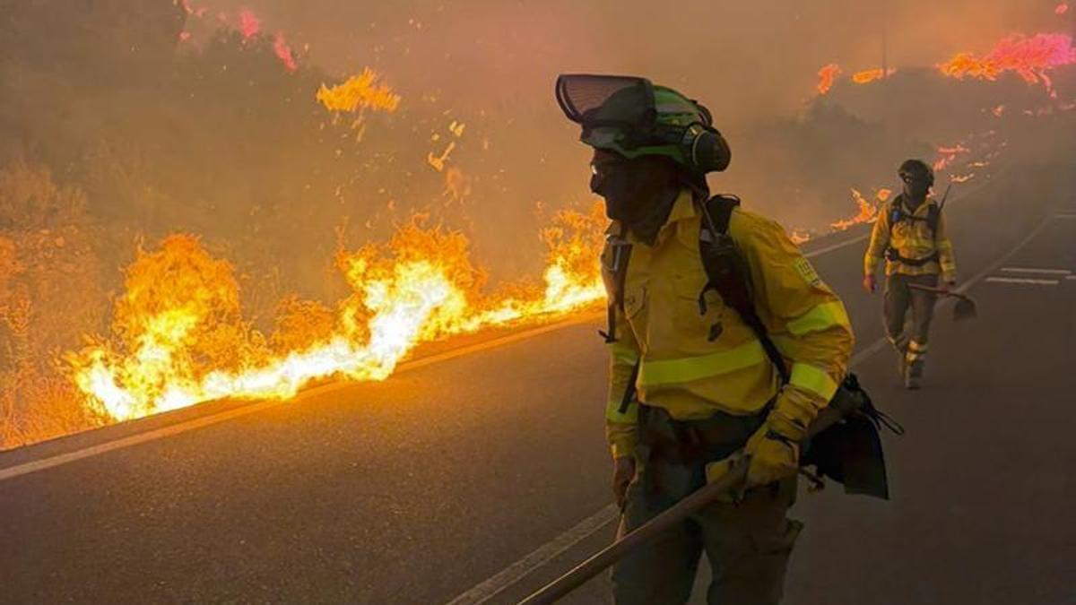 Feuerwehrleute bei der Bekämpfung des Waldbrandes bei Los Gallardos (Provinz Almería).