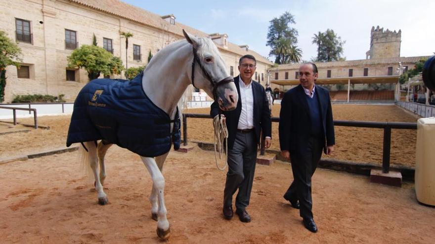 La marcha hípica ‘Córdoba a caballo’ reunirá más de 200 ejemplares el Día de Andalucía