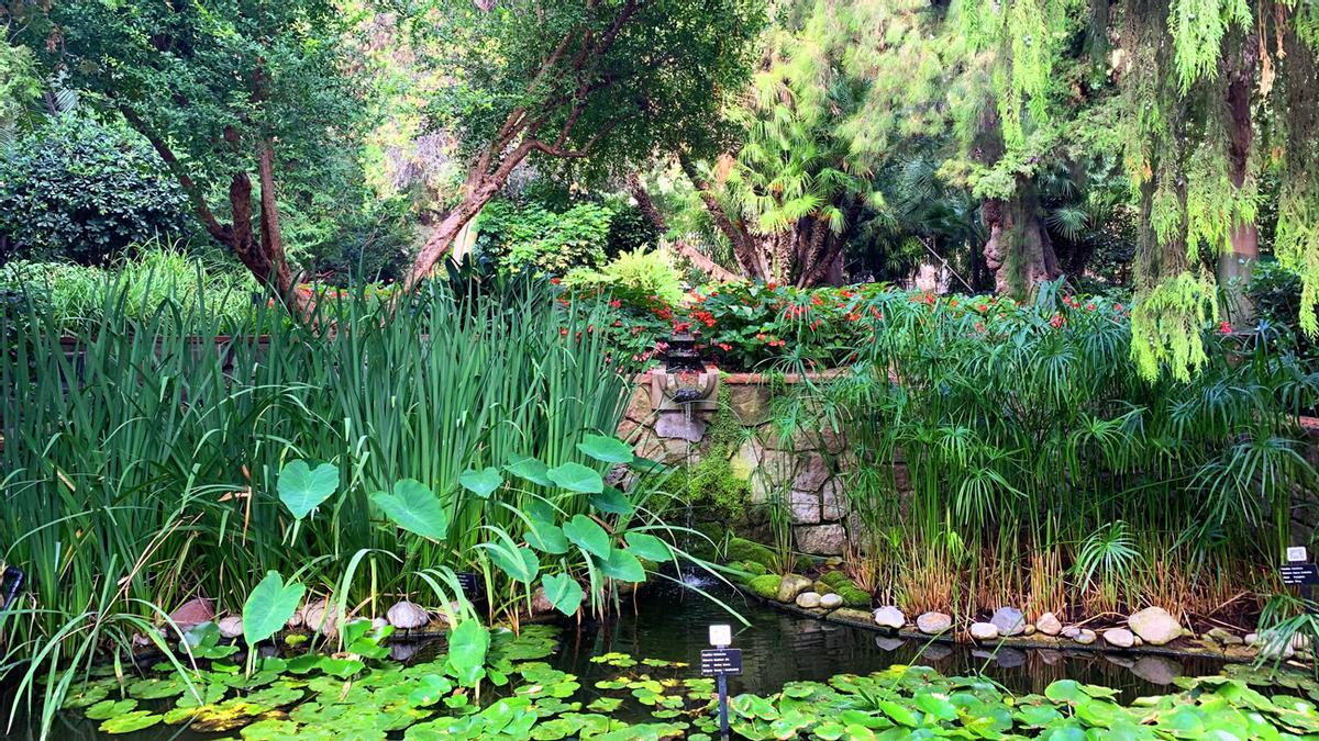 Los jardines de Ferran Soldevila tienen más de 200 especies de plantas distintas.