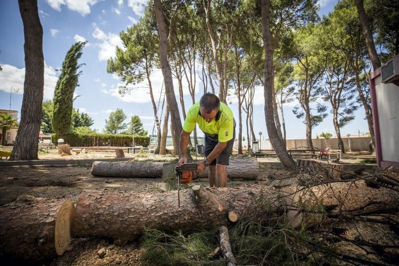 Efectos de la tormenta en Longares