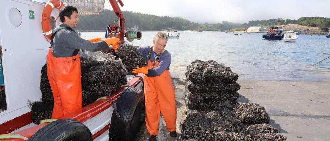 Descargas de mejillón en el muelle de Porto Meloxo (O Grove). // Muñiz