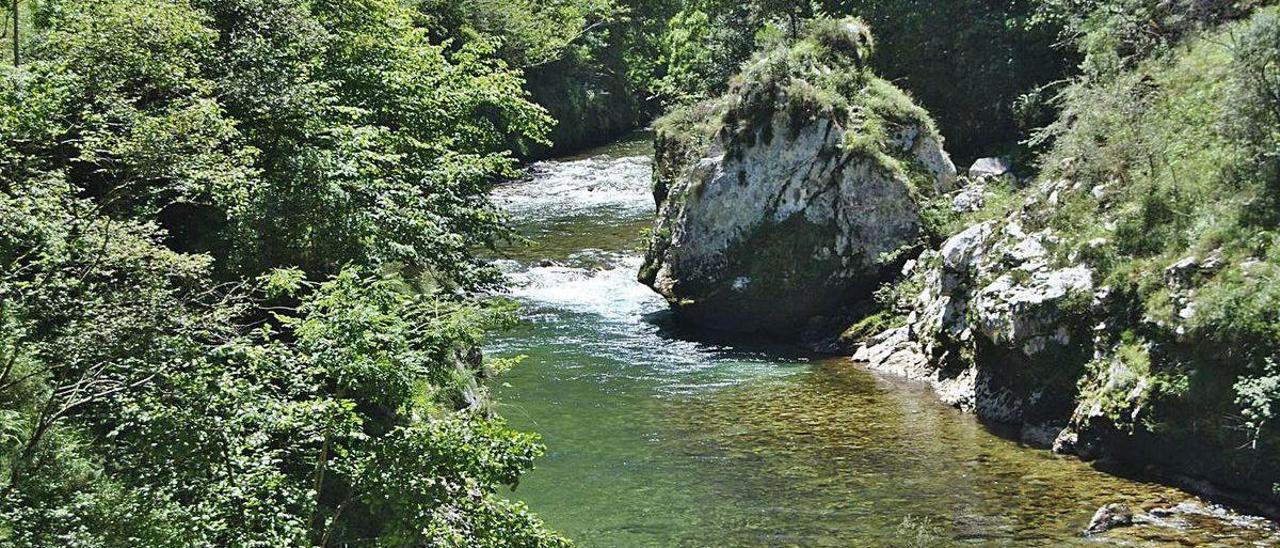 El tramo del río Cares en el que se produjo el accidente.