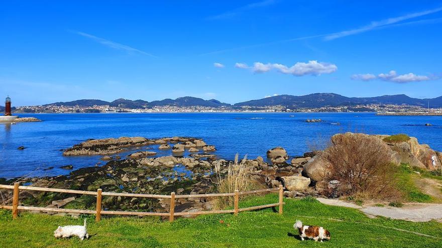 Vista de la ría de Vigo desde Alcabre. // M. G. Brea