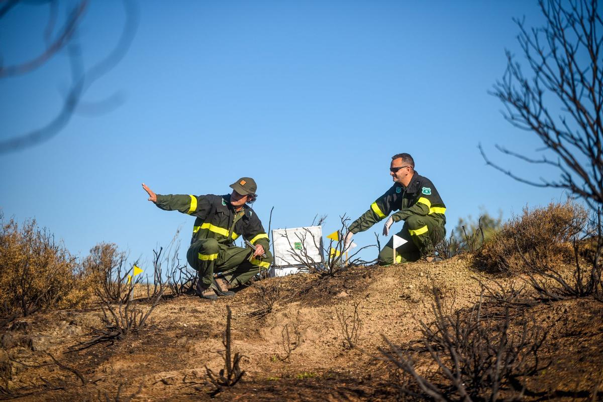 El cos forestal impulsa  la resposta a emergències