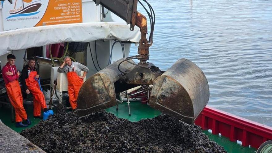 Los bateeiros gallegos, a medio gas y a la espera de que Italia venga al rescate