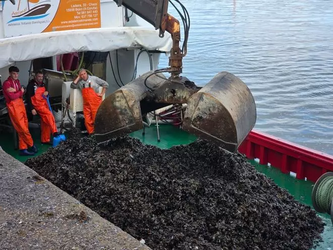 Los bateeiros gallegos, a medio gas y a la espera de que Italia venga al rescate