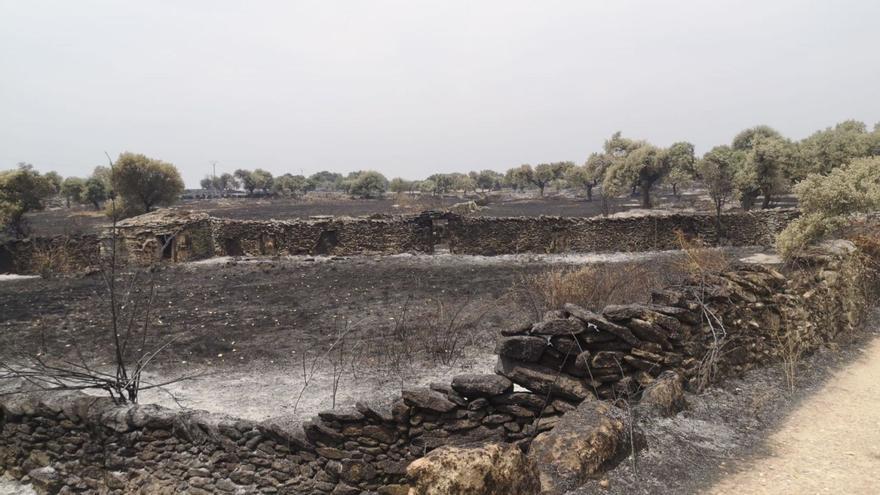 Aliste y Sayago reviven la pesadilla del fuego: “esto es la puntilla”