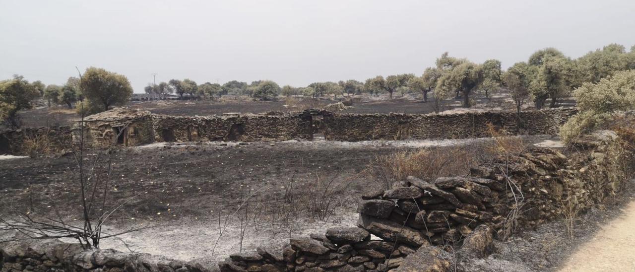 Paisaje de Roelos de Sayago tras el incendio/ J. A.  BENÉITEZ