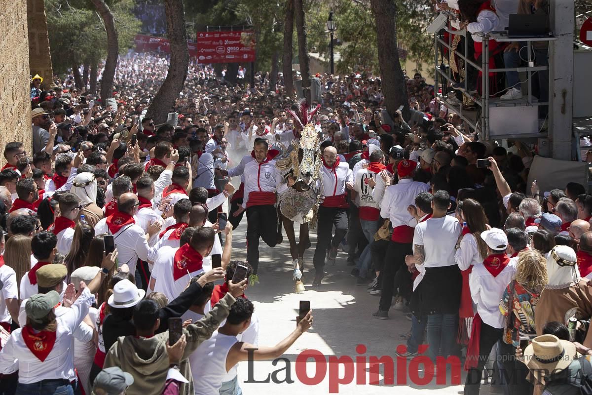 Así se ha vivido la carrera de los Caballos del Vino en Caravaca