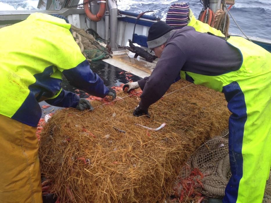 Graves daños a la flota de 'bous' a causa de misteriosas balas de paja sumergidas