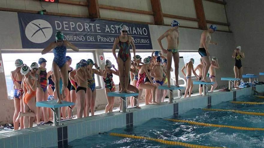 Varios participantes se disponen a saltar a la piscina.