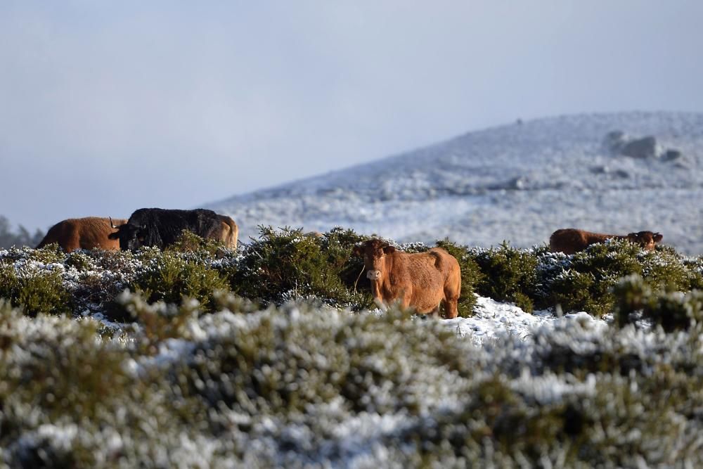 Las primeras nieves llegan a la comarca