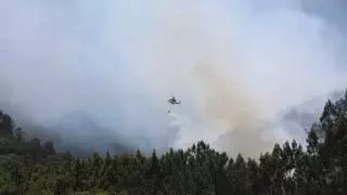 Incendio con tres focos en Vilatuxe
