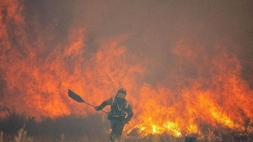 Un bombero forestal lucha contra un incendio el pasado mes de junio en Zamora.