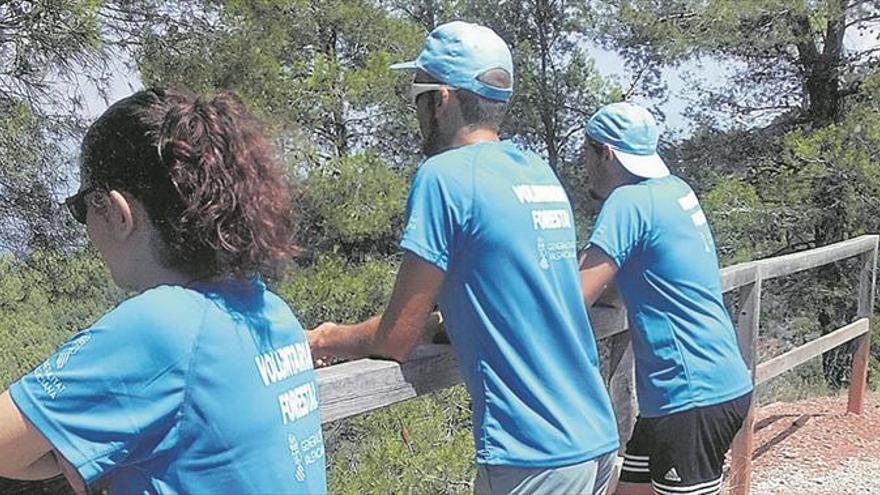 Medesa, els ‘vigilants’ del nostre medi forestal