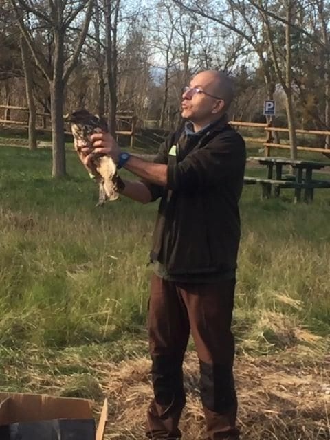 Alliberament au als Aiguamolls de l''Empordà