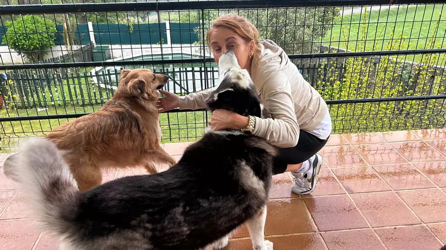 Vídeo que envió a la familia de Jager una chica que vio a su Husky en el Monte Aloia