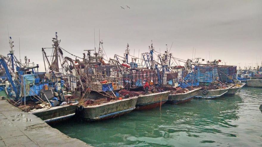 Barcos amarrados en el puerto de Dkhla.