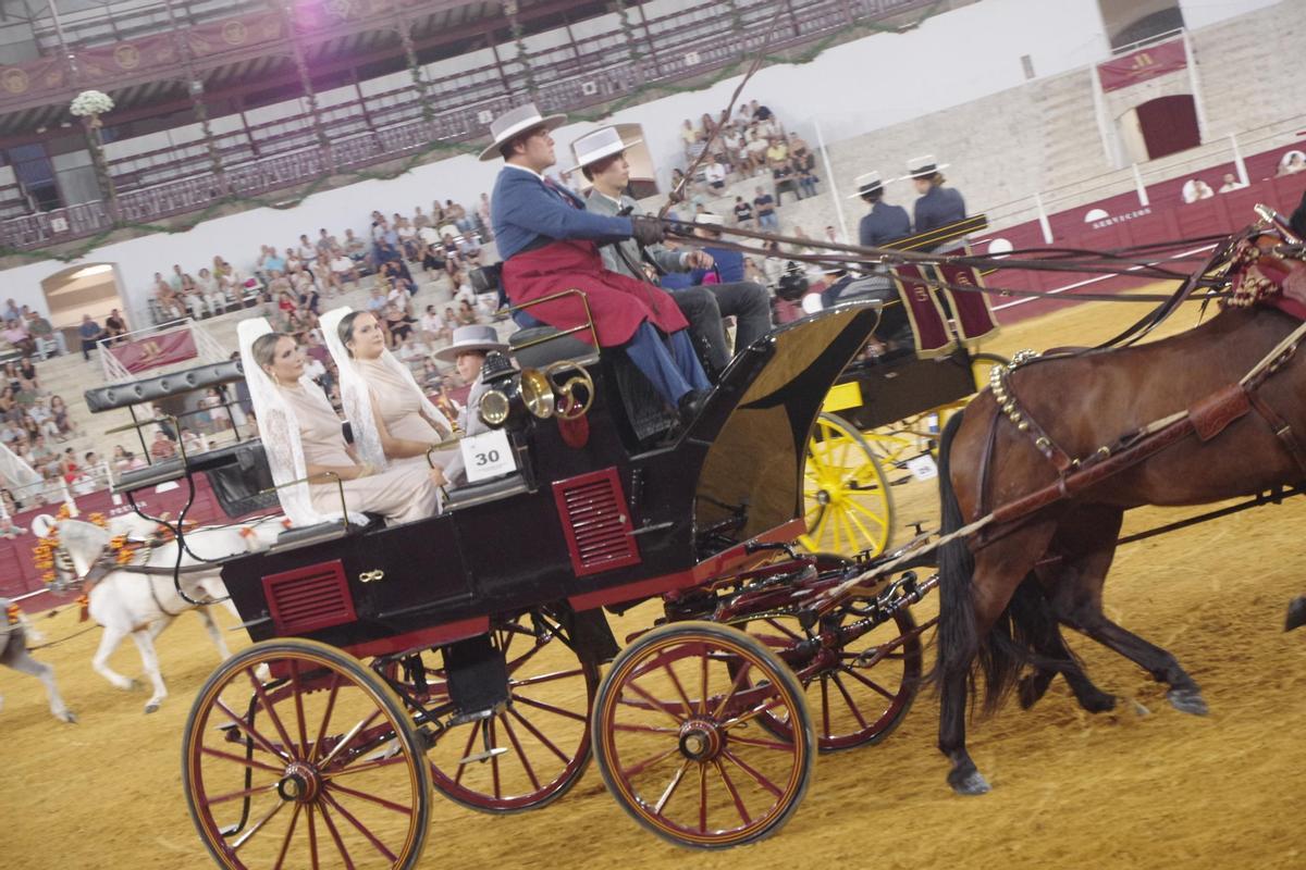 Fotos del concurso de exhibición de Enganches de Caballos Ciudad de Málaga 2026