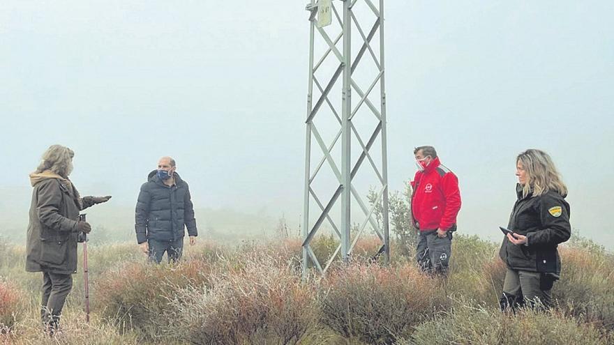 El tendido eléctrico del vertedero de Fornillos se adaptará para proteger a las aves