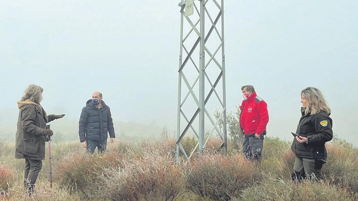 Visita realizada ayer por el director general de Medio Natural, Diego Bayona, con miembros del Grupo Ornitológico.