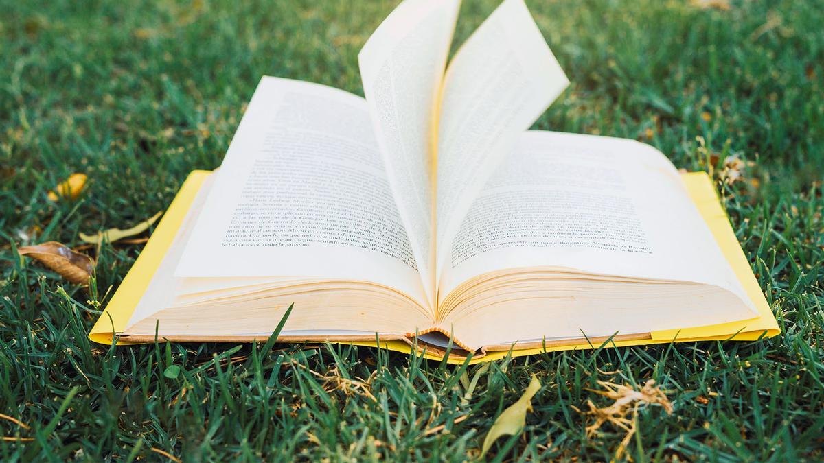 Imagen de un libro en la naturaleza.