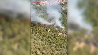 Incendios forestales, en directo: el incendio de Cervelló afecta ya a 14 hectáreas y mantiene confinadas dos urbanizaciones