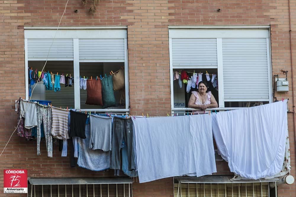 FOTOGALERÍA / La situación actual de las Palmeras