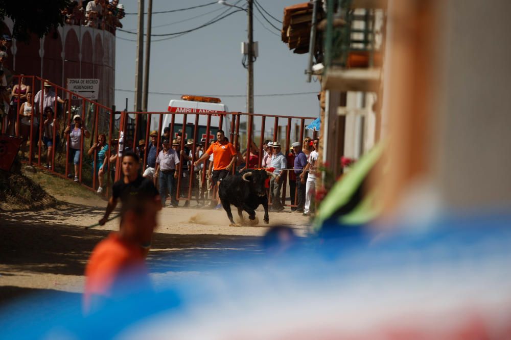 Encierro urbano en Villaescusa