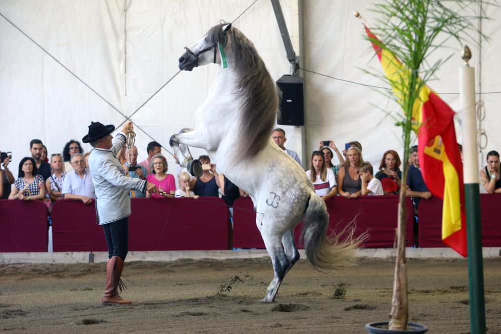 Jueves en el Real de la Feria de Málaga.