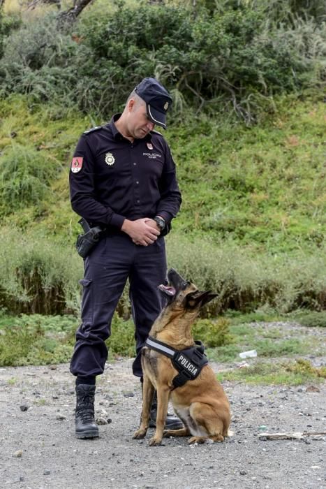 Reportaje a la Unidad Canina de la Policia ...