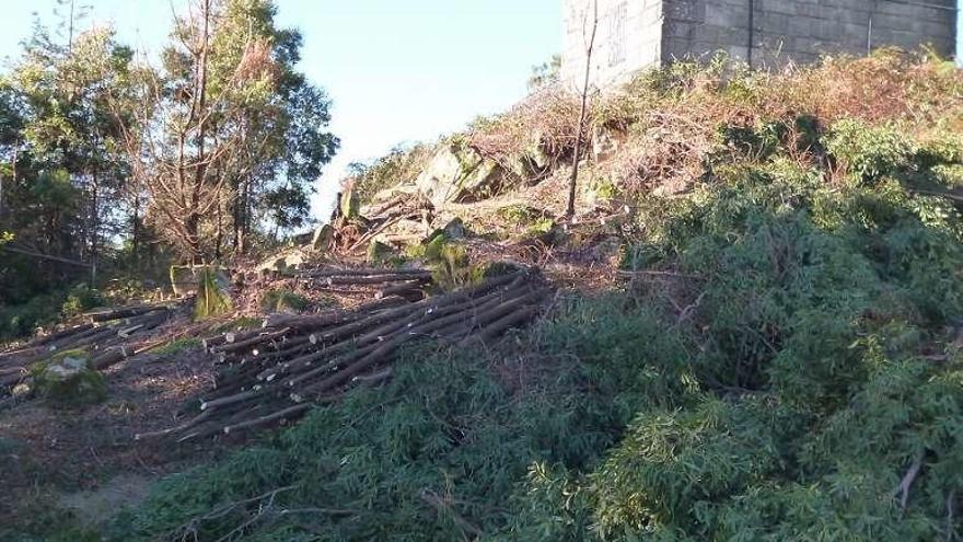 Zona desbrozada en el entorno del mirador de Cotorredondo. // FdV