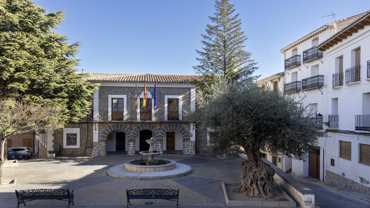 El Ayuntamiento de Bejís y el olivo.