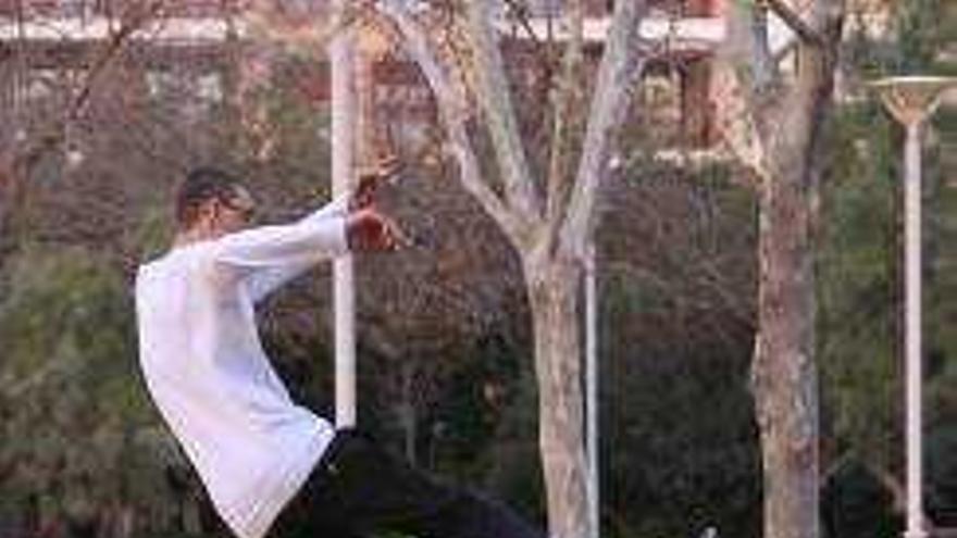 La polémica pista de «skate» de Gandia irá junto a los campos de Roís de Corella