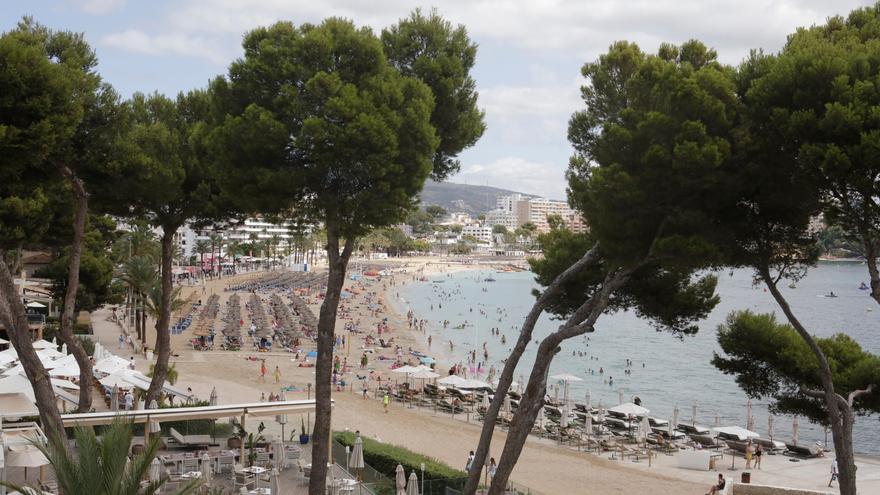 Tiempo en Mallorca | Domingo con temperaturas diurnas en ascenso e intervalos nubosos