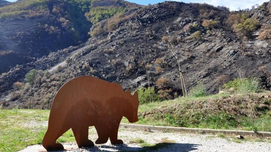 Olor a quemado en las tierras del oso