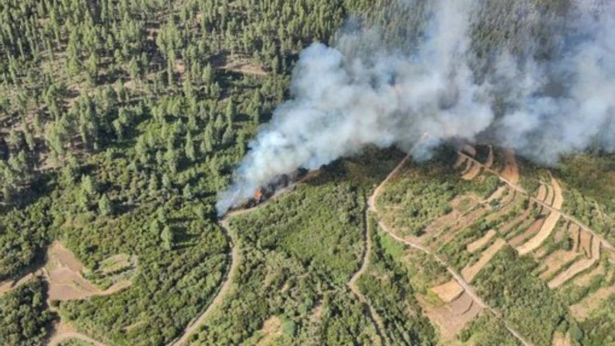 The Government of the Canary Islands assumes the direction of the work to extinguish the fire in Tenerife